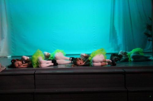 IMG 6889 (1)